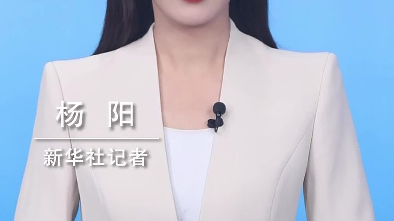数字化解决方案与实施案例：本质区别与选择要点